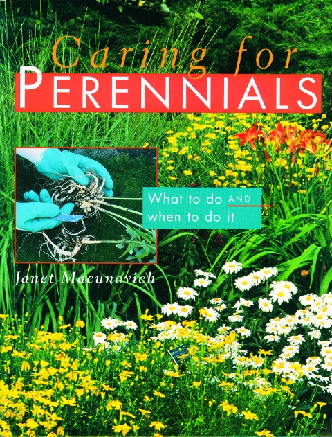 Caring for Perennials What to Do and When to Do it