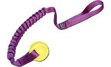 Spring Tennis Ball Toy - Great fun for do