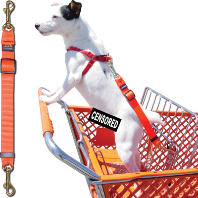 Shopping Cart Tether - Tether your pet while you safely shop - Click Image to Close