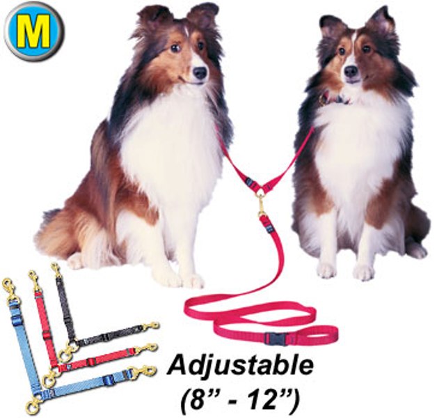 Swivel Adjustable Double Dog Leads - Medium - Click Image to Close