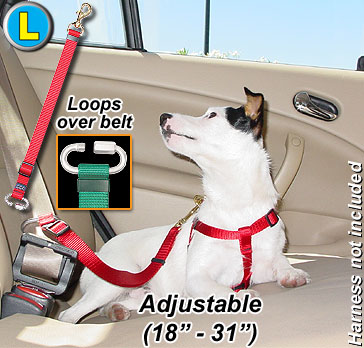 Seat Belt Tethers - Large - Tether your pet in the car! - Click Image to Close