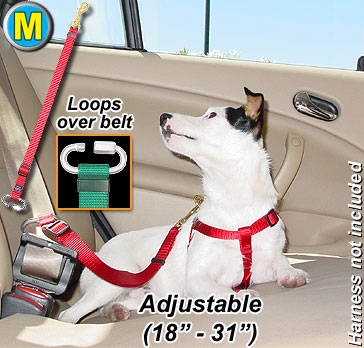 Seat Belt Tethers - Medium - Tether your pet in the car! - Click Image to Close