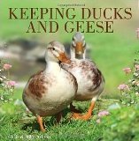 Keeping Ducks & Geese by Chris & Mike Ashton - Softcover