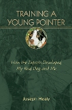 Training a Young Pointer How the Experts Developed My Bird Dog