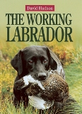 Working Labrador by David Hudson - Hardcover