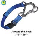 Chain Martingale w/ Quick Release - Medium - Dog/Pet Collar
