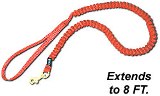 Mini-Coiled Drag-Free Leash - Extends to 8'