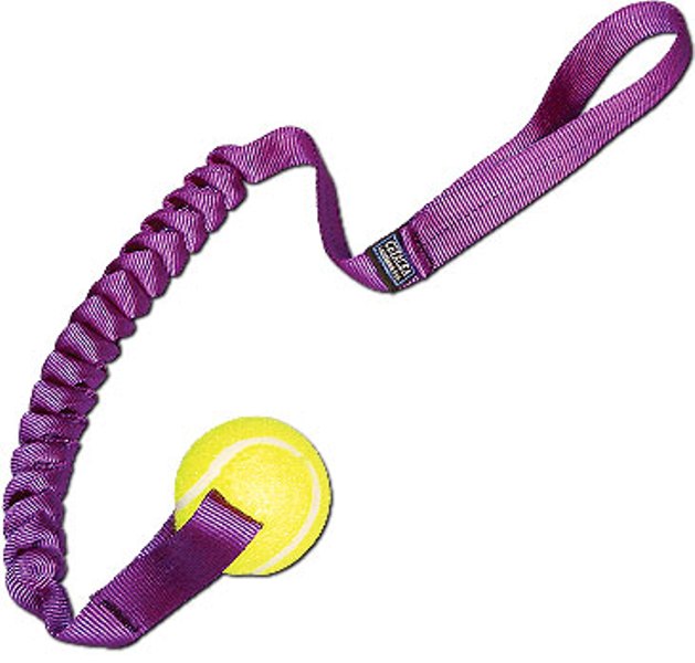 Spring Tennis Ball Toy - Great fun for do - Click Image to Close