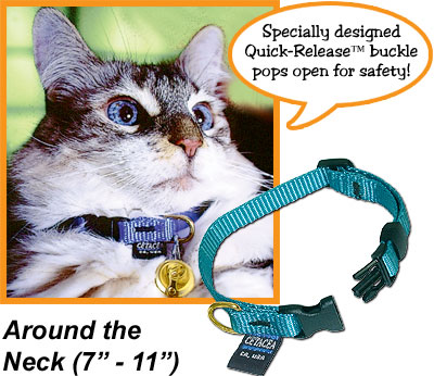 Safety Quick-Release Cat Collar without Bell - Click Image to Close