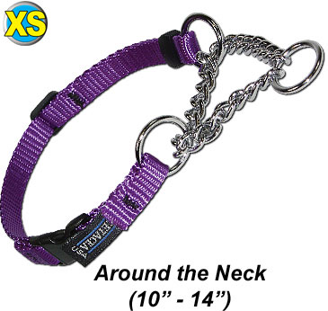 Chain Martingale w/ Quick Release - Extra Small - Dog/Pet Collar - Click Image to Close