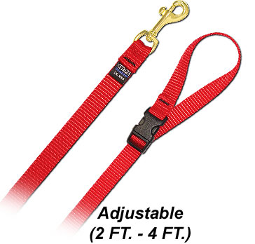 4' Pet Leash - Small w/ Quick Release Handle - Dog Leash - Click Image to Close