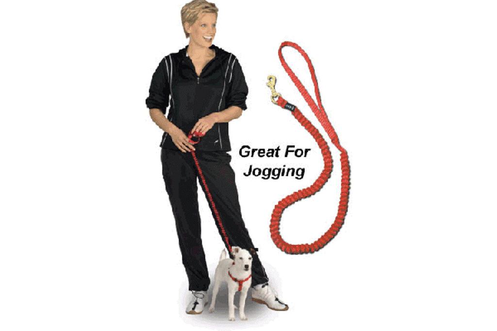 Mini-Coiled Drag-Free Leash - Extends to 8' - Click Image to Close