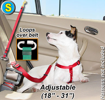 Seat Belt Tethers - Small - Tether your pet in the car! - Click Image to Close