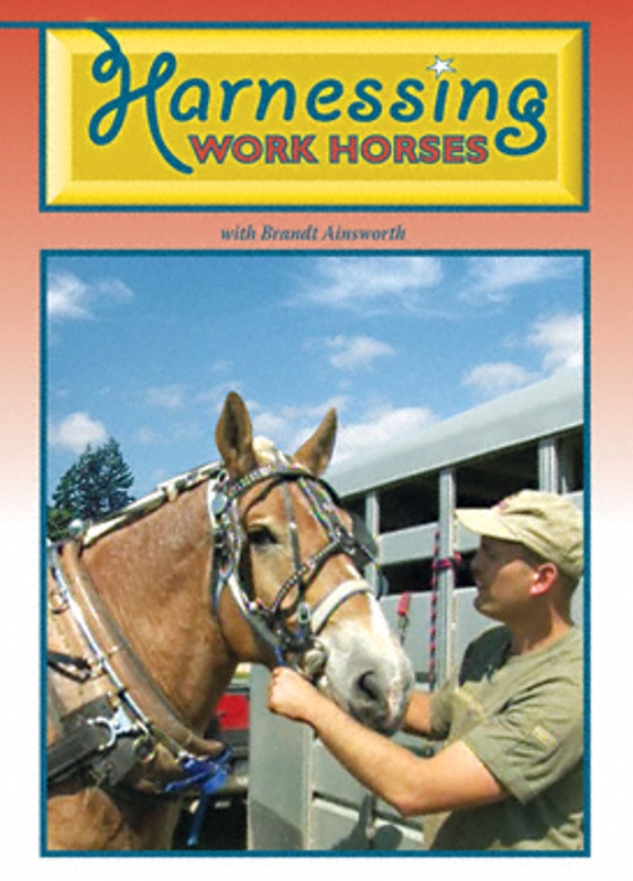 Harnessing Work Horses with Brandt Ainsworth - DVD - Click Image to Close