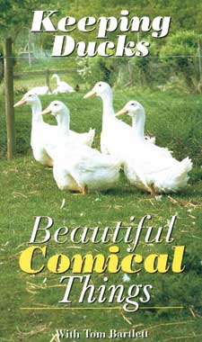 Keeping Ducks Beautiful Comical Things with Tom Bartlett - Click Image to Close
